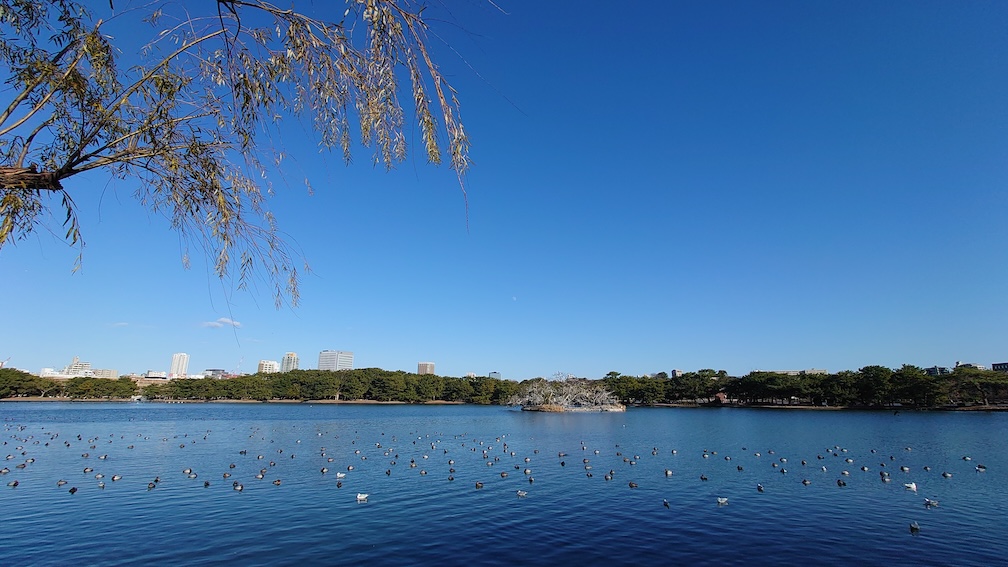 冬の晴れた日の大濠公園