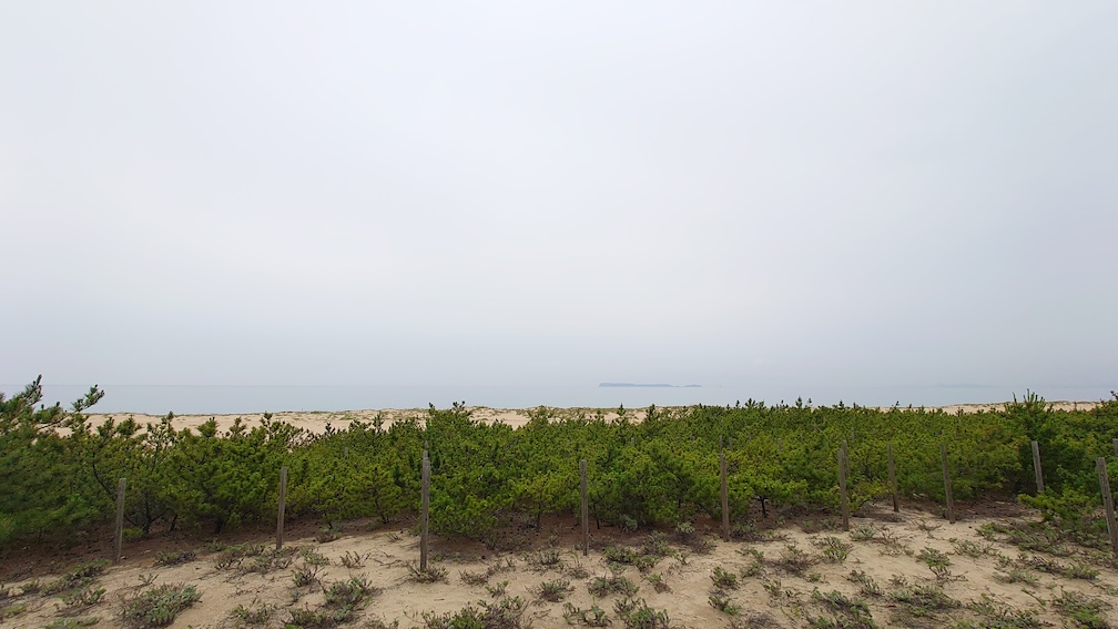 海の中道海浜公園1