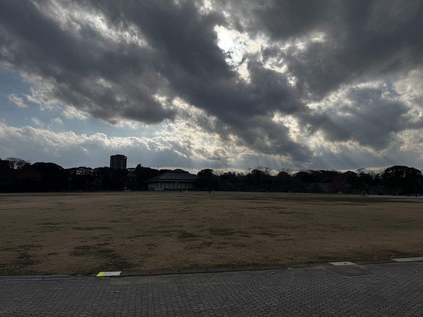 福岡の冬空